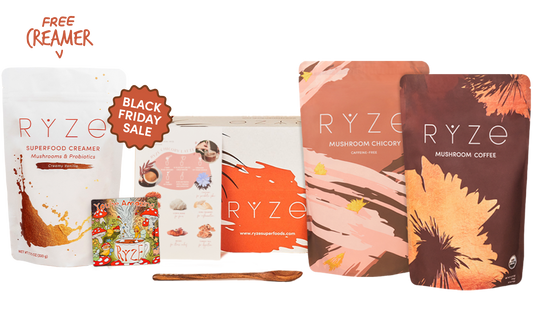 Lasting Energy Bundle (Mushroom Coffee + Chicory)