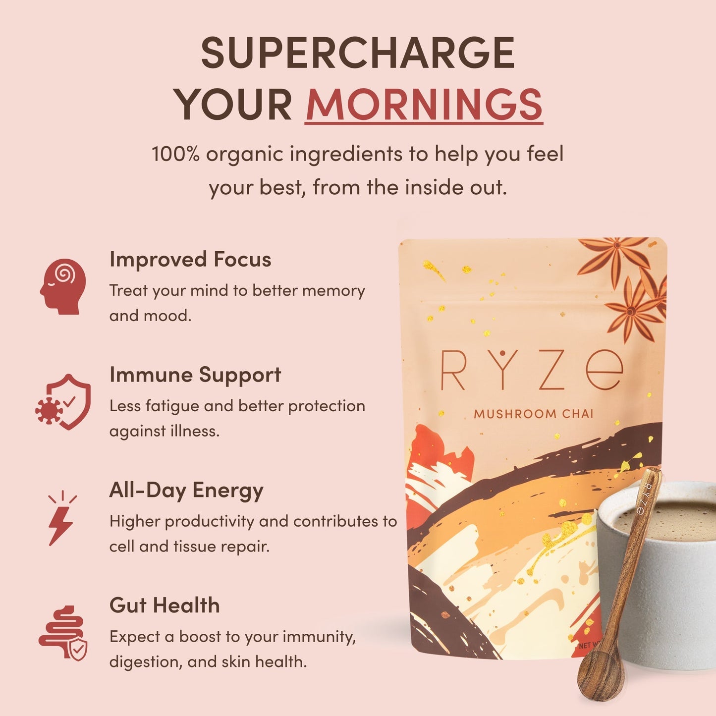 Mushroom Chai (1 Pack - 20 Servings)