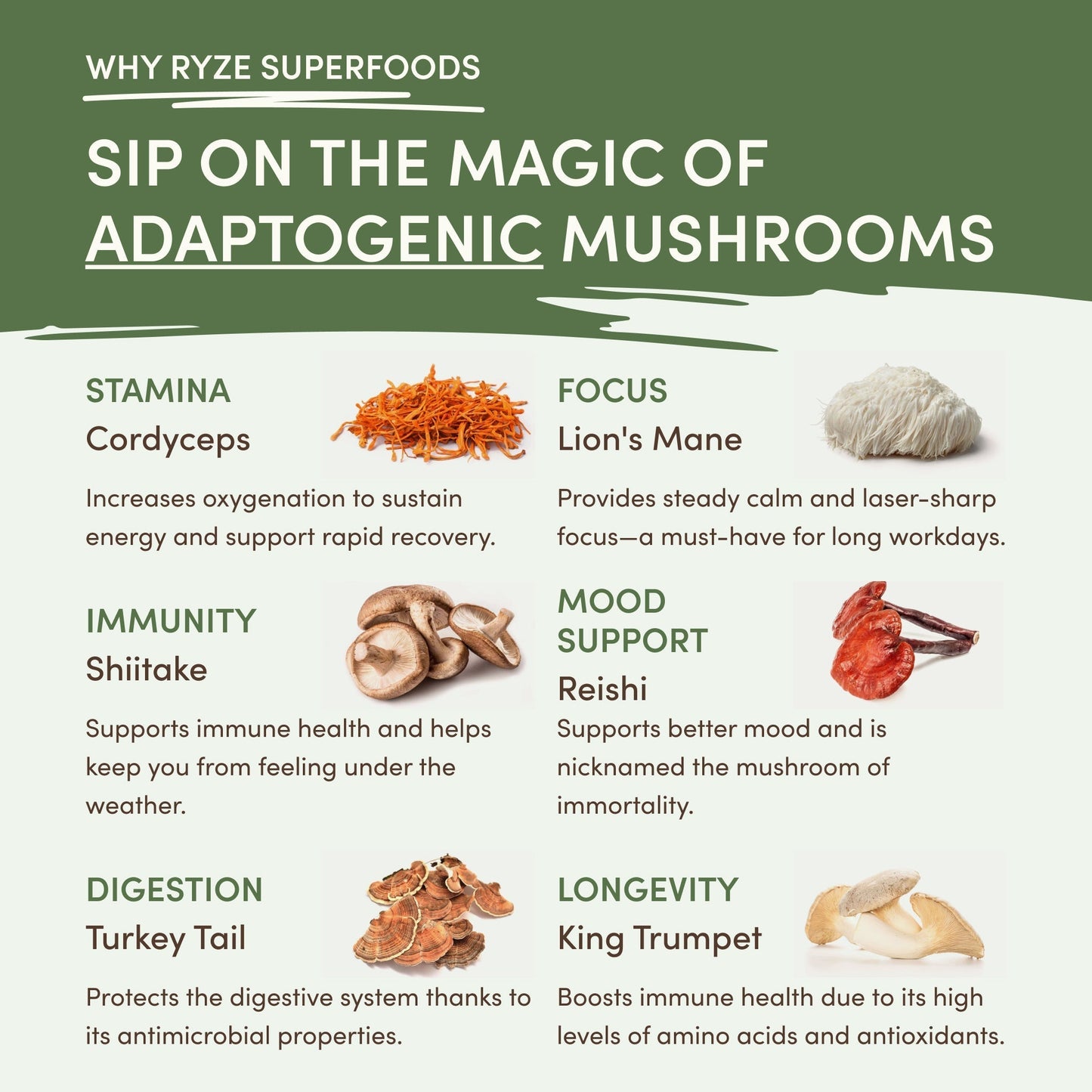 Mushroom Matcha (1 Pack - 30 Servings)