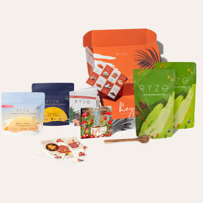 Mushroom Matcha Starter Kit ( 60 Servings )