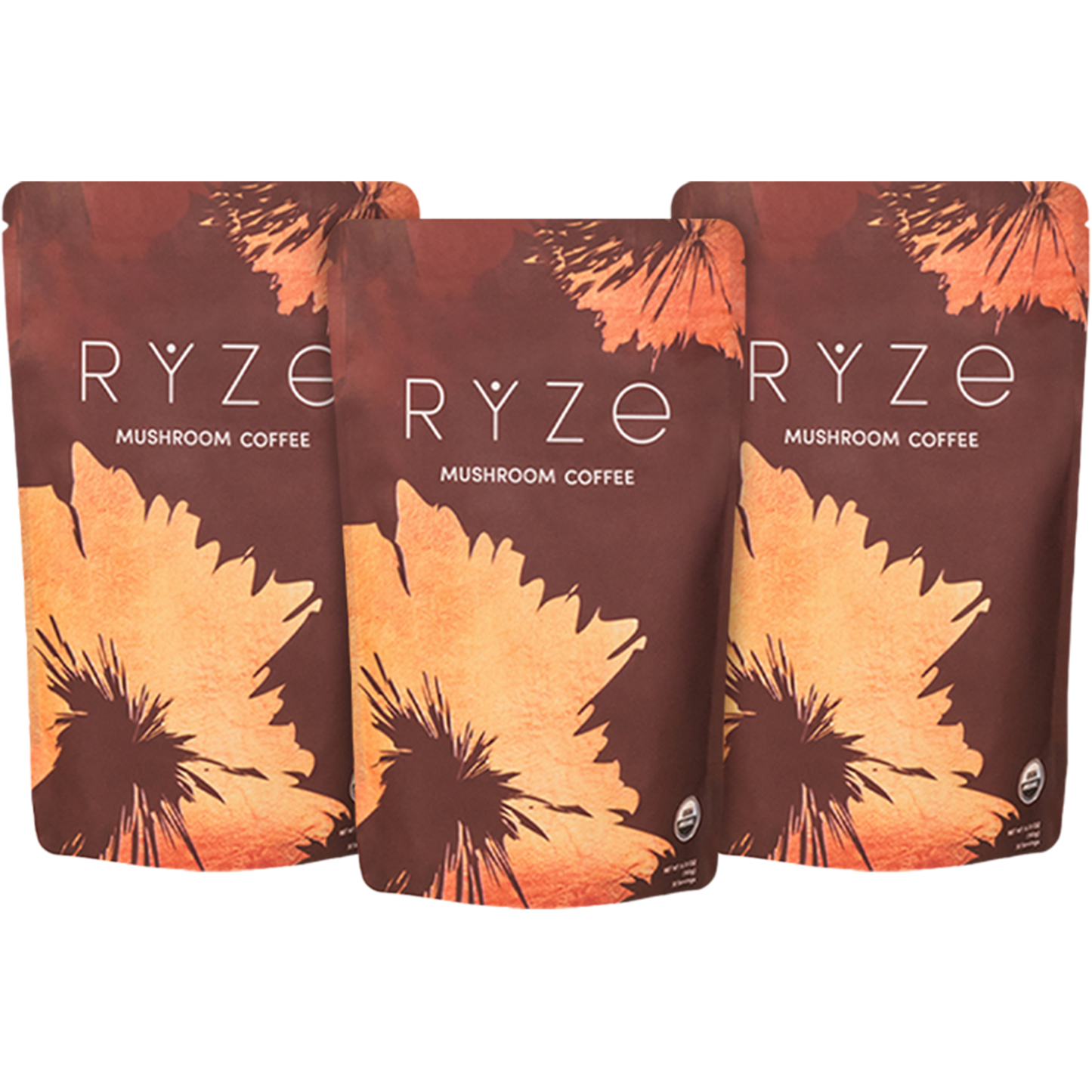 Mushroom Coffee (3 Month Upgrade)